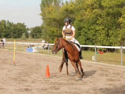 img_7486_web